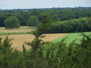 A view of our farm